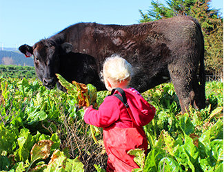 Teaser image for Meet our wagyu farmers