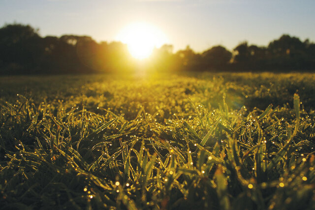 Teaser image for Heale Ridge Trust